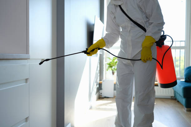 Best Mold Damage Repair  in East Brewton, AL