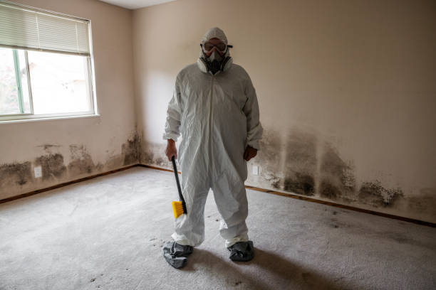 Best Mold Removal Process  in East Brewton, AL